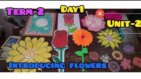 Term-2 Unit-2/EnnumEzhuthum English/Day-1Introducing flowers/Bees inthegarden activity @amalateacher