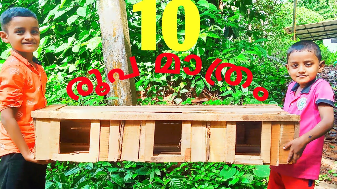 how to make pigeon cagehow to make pigeon cage at home using wood