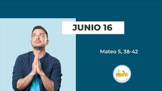 Mt 5, 38-42 - Evangelio del día - Padre Luis Zazano