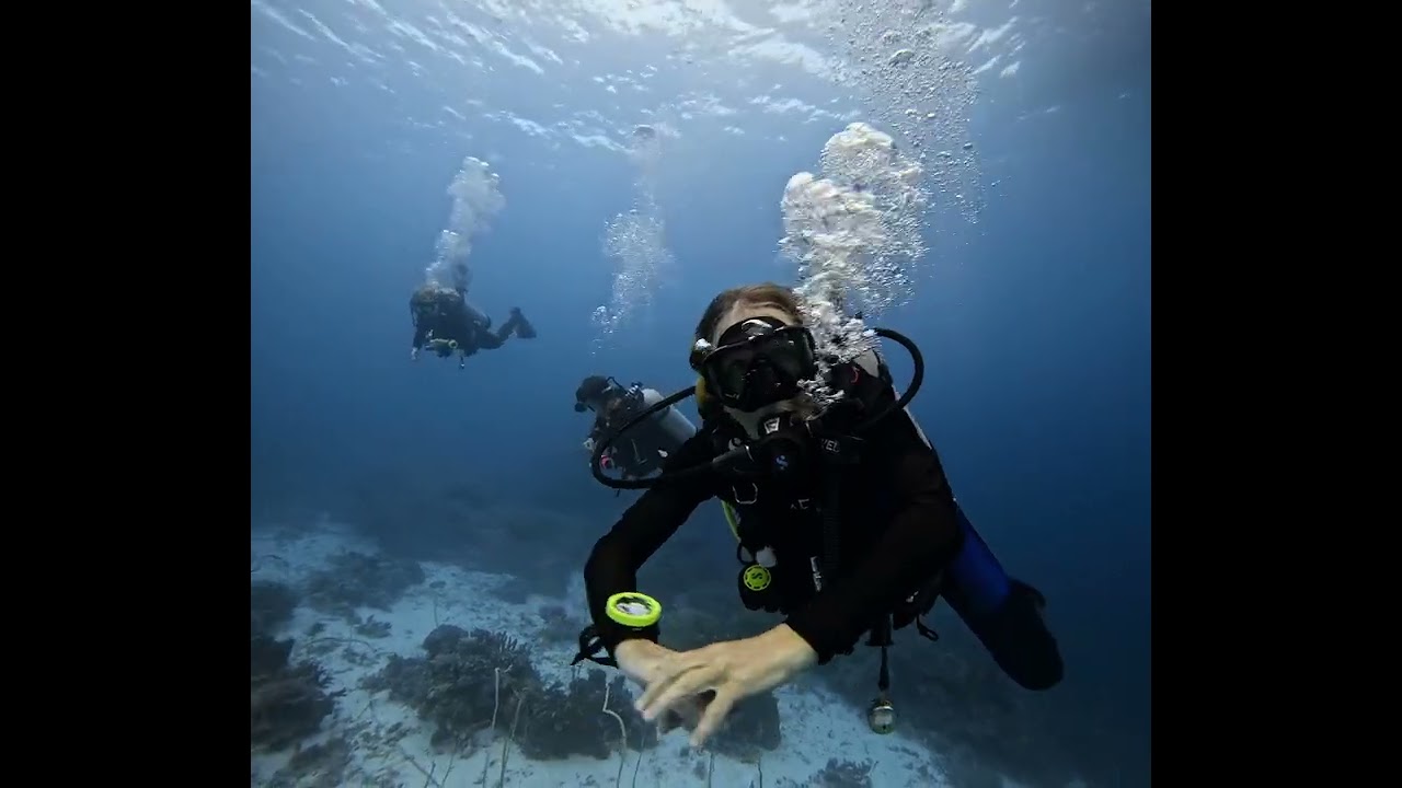 Tubbataha Reef Day 3