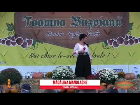 Madalina Manolache - La cati prieteni le-am dat