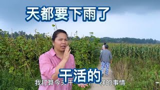 英子和大哥去干一件特别有意义的事，天要下雨了也阻挡不了他们