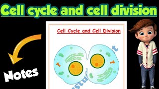 | Cell cycle and cell division | Best Handwritten Notes |Class 11|Biology |Ch-10 |@Edustudy_point