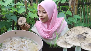 Download Lagu Jamur Barat, Jamur Liar Enak dan Langka | Hidup Sederhana MP3