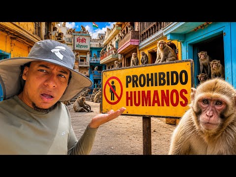 I ENTERED THE MONKEY VILLAGE IN INDIA THAT IS OFF-LIMITS TO HUMANS 🇮🇳