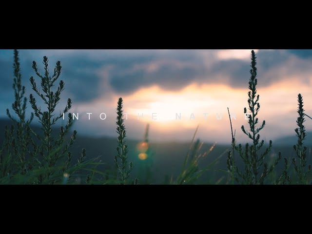 Into The Nature - Cinematic Travel Video | Sony a6300 class=