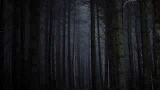 The Haunted Library: Episode 7 "Devoured"