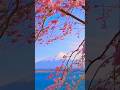 Sometimes,words can’t express… just feelings.#pinoyinjapan #SpringInJapan#japanlife #Sakura #MtFuji