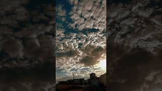 𝑩𝒆𝒏 𝑺𝒆𝒏𝒊 𝒃𝒂𝒔̧𝒌𝒂 𝒆𝒍𝒍𝒆𝒓𝒅𝒆 𝒈𝒐̈𝒓𝒅𝒖̈𝒎 Ürküler