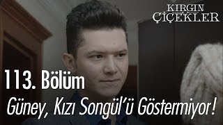 Güney kızı Songül'ü göstermiyor - Kırgın Çiçekler 113. Bölüm | Final