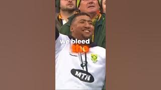 Download lagu The don't know what we know - Springboks