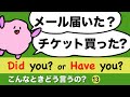 英語のネイティブはこう使う！DidとHave 現在完了形と過去形の違い こんなときどう言うの【リスニングチャレンジ！】Chill Out 大人のフォニックス [#159]