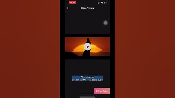How to add new audio to your video with Zeemo