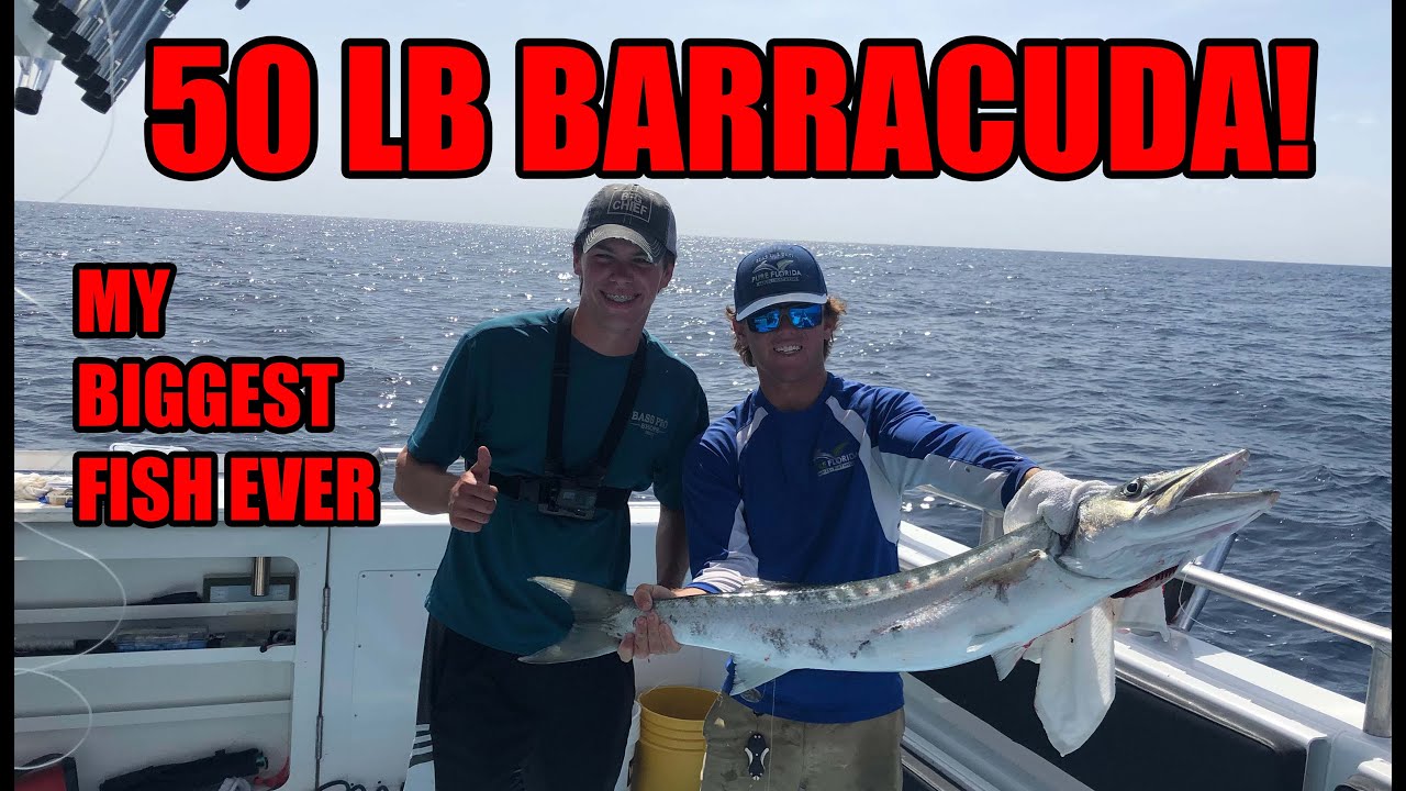 NAPLES FL 50 LB BARRACUDA BIGGEST FISH OF MY LIFE