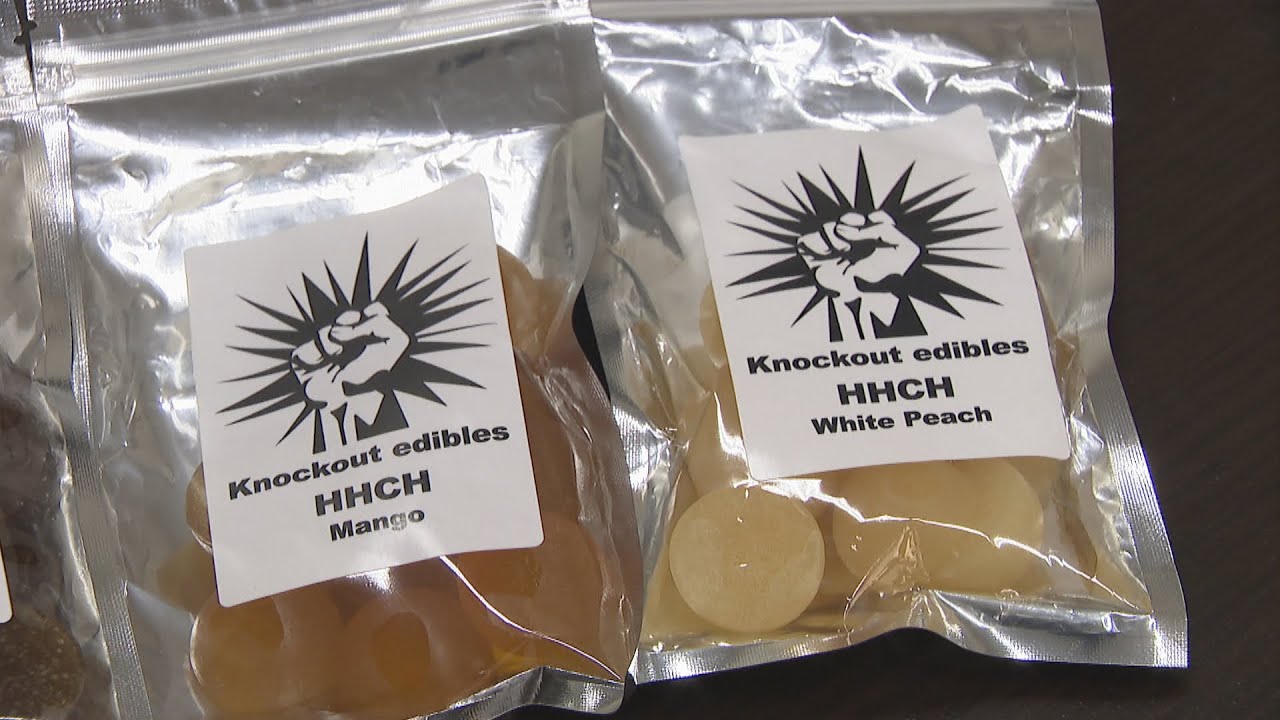 THCHグミ knockout - 東京都の食品