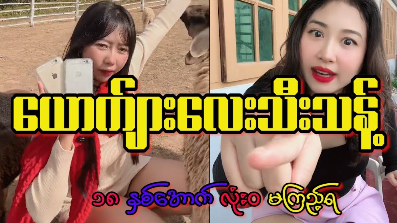 မြင်ရင် အကောင်ပဲ😝😝