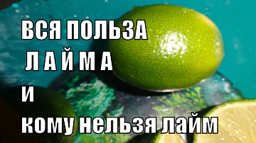 ЛАЙМ Все полезные свойства и противопоказания