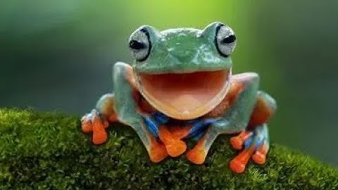 3i ~ 39 | 93 ~ 7/1/1993 & 12/19/1993 ~ 3 Clicks & A Leap! ~ Description Box Bonus: Family Cleansing