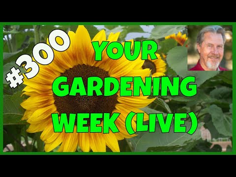 Become a Gardening Master (Q&A)
