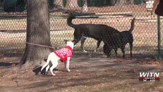 Keeping animals safe in cold weather