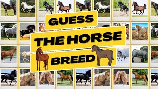 Can You Guess The Horse Breeds Quiz | Horse Quizzes 2023 | Test Your Equestrian Knowledge! Guess The Horse Breed Can You Get All 12 Right