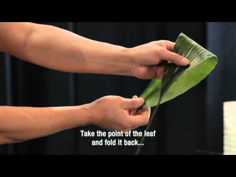 Video: Hvad Er Floristisk Tape