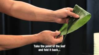 Download lagu Hydrangea workshop by top florist Gary Loen Hydrangea workshop by top florist Gary Loen