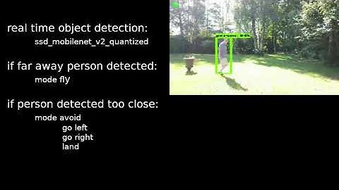A AI Python script controls DJI drone
