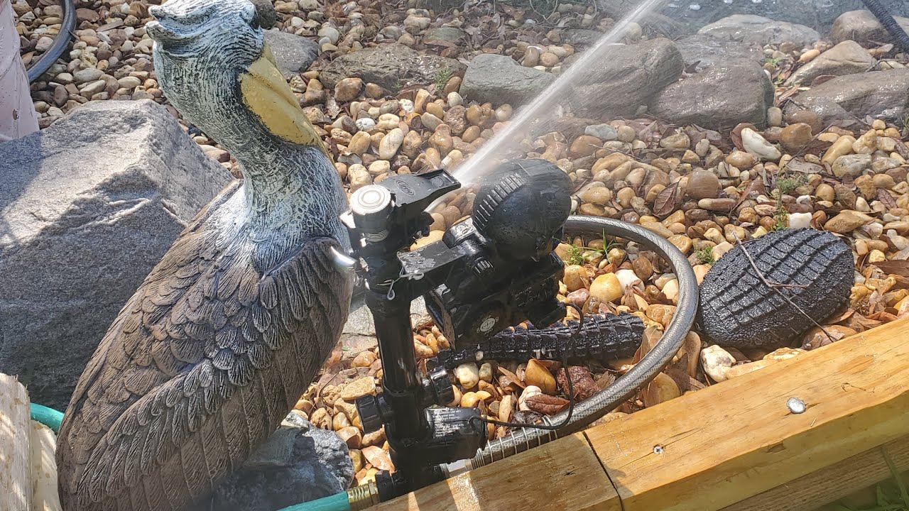 How to protect your Koi pond against Birds, raccoons or really any pest