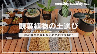 【土選び】観葉植物、多肉植物、サボテン、アガベ、塊根植物の土は何を選べばいいの？【ゲッチューファーム園芸ver】