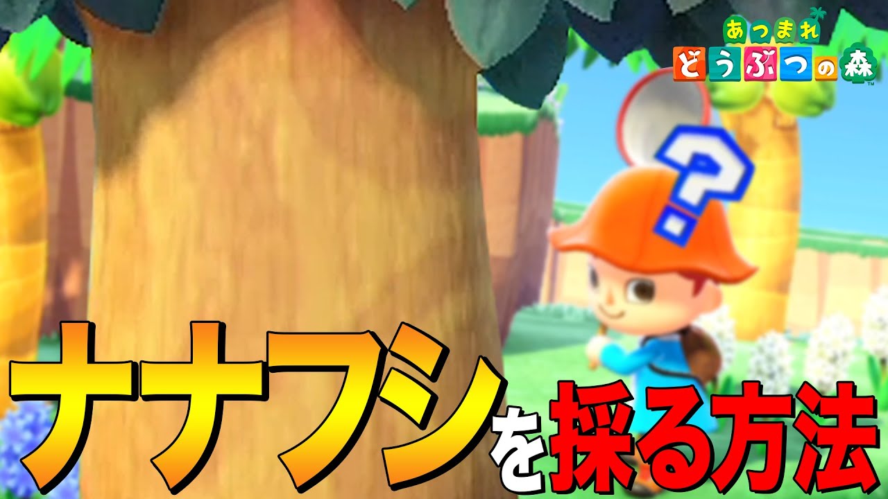 Animal Crossing: New Horizons] How to catch the strange creature