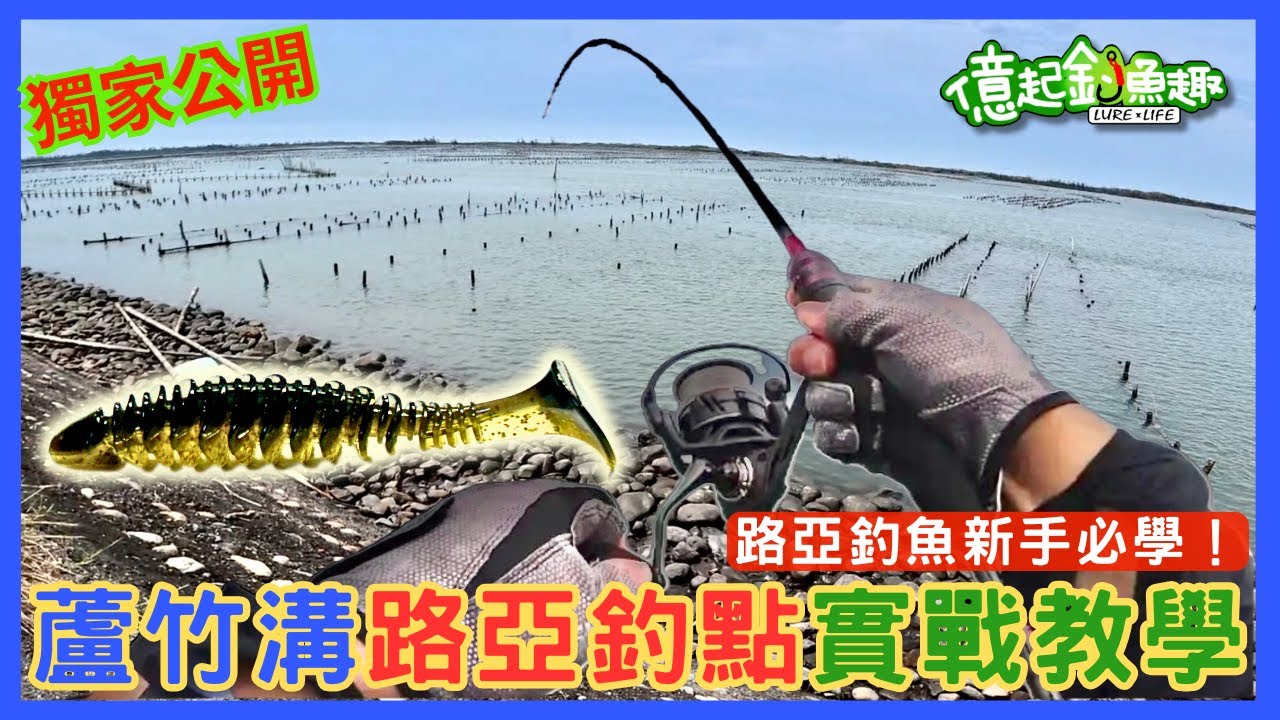 【億起釣魚趣】路亞新手必看！台南釣點公開＋完整實戰教學 🎣#釣魚 #路亞