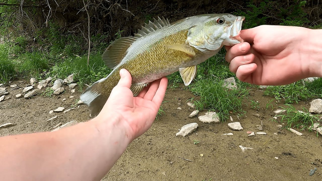 Bass Fishing Indian Creek Ohio With Hellgrammites
