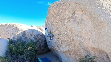 Satellite Left--Planet X, Joshua Tree