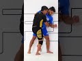 Beautiful Judo Throw off the Wall #combatsport #judo #mma #grappling #fighting #martialarts #bjj