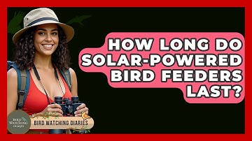 How Long Do Solar-Powered Bird Feeders Last? - Bird Watching Diaries