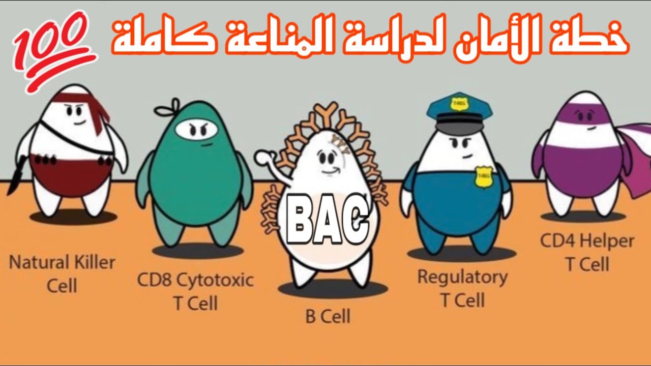 المنااااااعة !!!!!! كيفاه دير معاها كاملة ⚡️بذكاء😎بكالوريا 2025