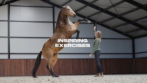 Become one with your horse