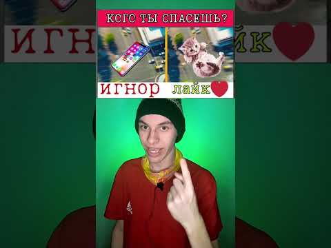 КОТЁНОК VS АЙФОН?? А ЧТО ВЫБЕРЕШЬ ТЫ?? 😱 #Shorts #fotspb 🌺