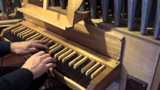 Homemade pipe organ (Organo a canne autocostruito) HD 2/2