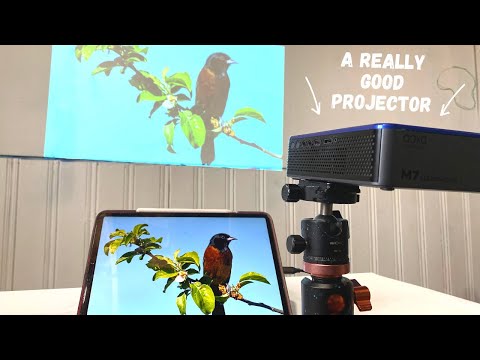 Best Art Projectors — Top 15 Picks (Jan 2024)