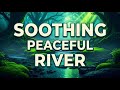 🛑Forest River Flow | Light Rain Ambience | For Deep Sleep  🌧️Peaceful Forest Ambience | Birdsong Nat
