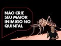 Campanha do estado de sp alerta contra mosquito da dengue qual o animal mais perigoso do mundo