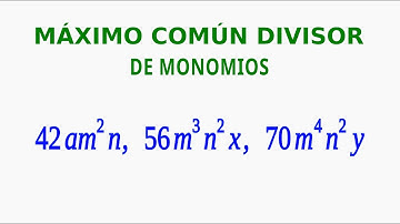 Máximo Común Divisor de Monomios | 11