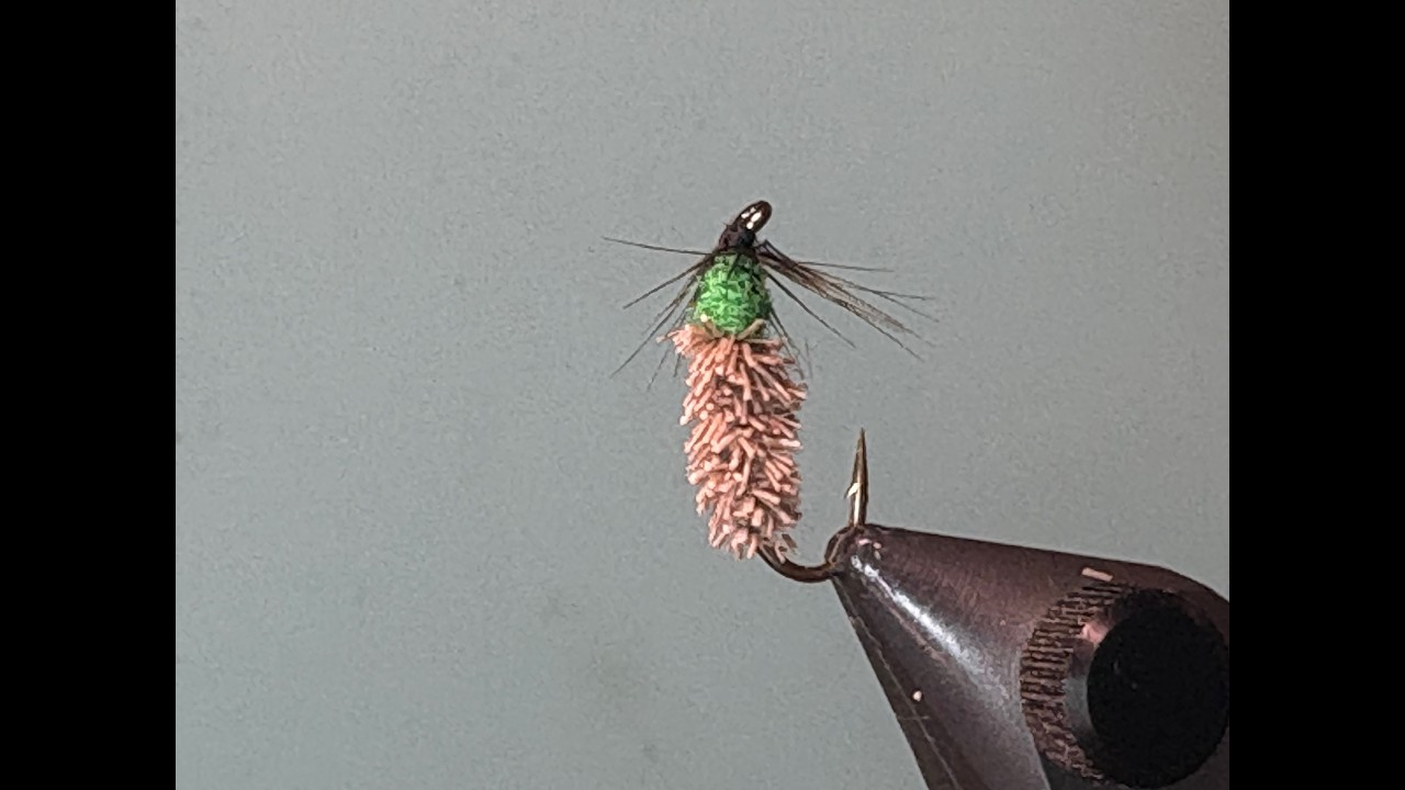 Fly Tying a Weighted Cased Caddis