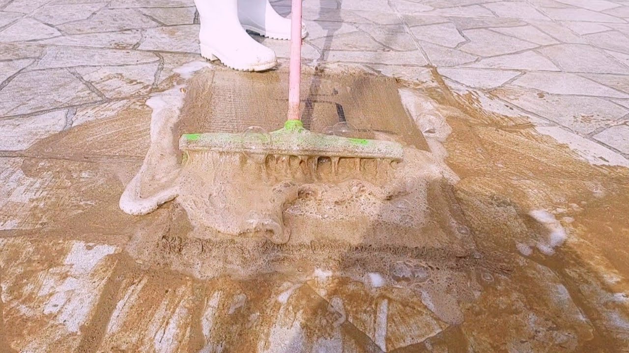 Your Ears & Eyes will Thank You! Carpet Cleaning ASMR