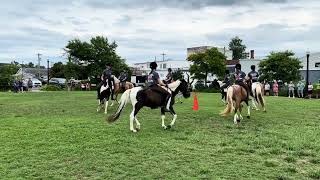 Chincoteague Pony Drill Team