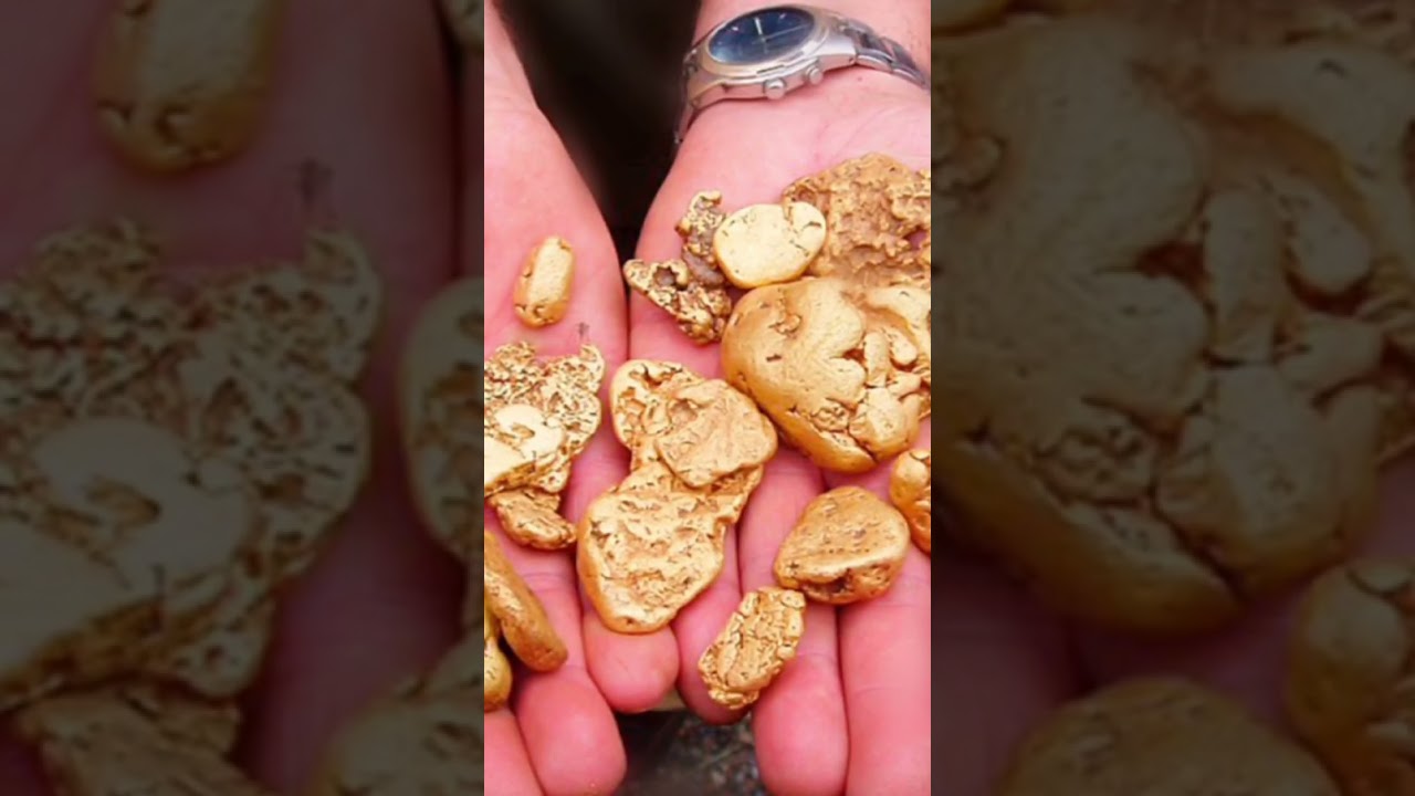 Alluvial gold collecting results. 