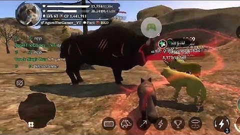 Hunting into a Green Hills Champion Room| The Wolf