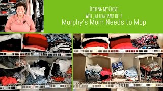 Tidying My Closet:  Well, At Least Part of It! by Murphy's Mom Needs to Mop 21 views 1 year ago 17 minutes